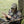 Load image into Gallery viewer, Camouflage Embroidered Logo Hat