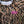 Load image into Gallery viewer, Mossy Oak Womens Camo Pink Patch Long Sleeve Shirt