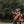 Load image into Gallery viewer, Fields Outdoors Upland Vest