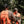 Load image into Gallery viewer, Fields Outdoors Upland Vest