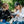 Load image into Gallery viewer, Roosterwear Logo Sweatshirt