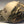 Load image into Gallery viewer, Camouflage Embroidered Logo Hat