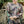 Load image into Gallery viewer, Mossy Oak Camo Green Patch Long Sleeve Shirt